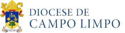 Logo logo 41 transferir mitra campo limpo